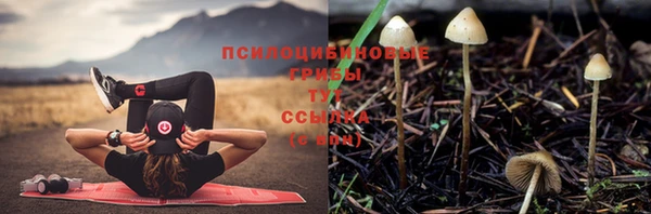 гашишное масло Горнозаводск