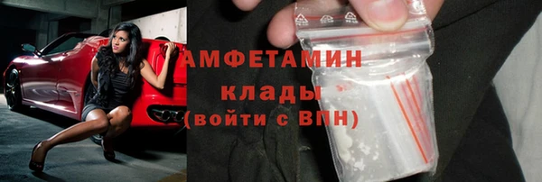 индика Горно-Алтайск
