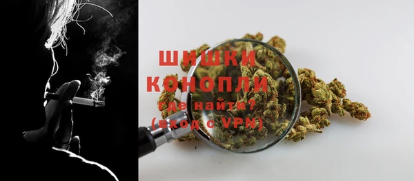 индика Горно-Алтайск