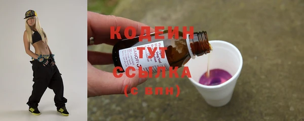индика Горно-Алтайск