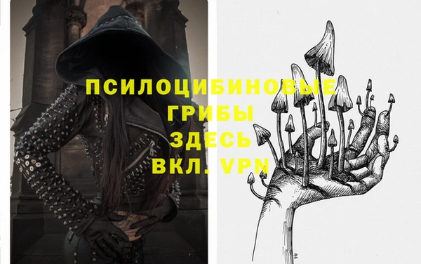 индика Горно-Алтайск