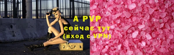 индика Горно-Алтайск