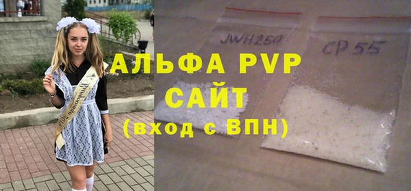 индика Горно-Алтайск