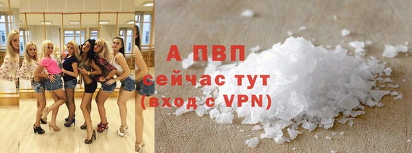 индика Горно-Алтайск